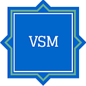 methodology_vsm