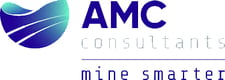AMC Consultants Partner