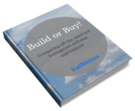 Build or Buy eBook