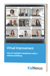 Virtual Improvement eBook