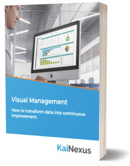 eBook Visual Management