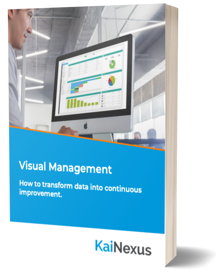 eBook Visual Management