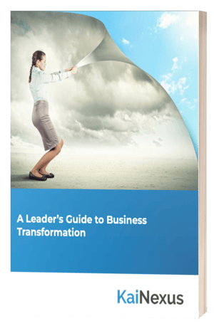 Leaders Guide to Business Transformation ebook cover