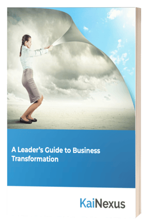 Leaders Guide to Business Transformation ebook cover