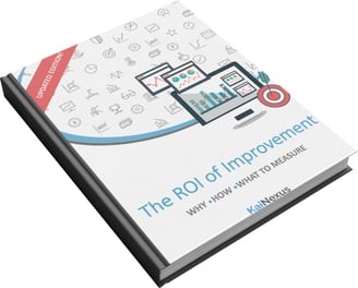ROI of Improvement eBook Cover.jpg