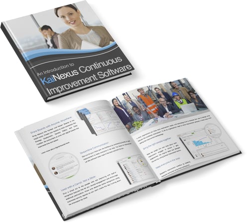 Software eBook Cover.jpg